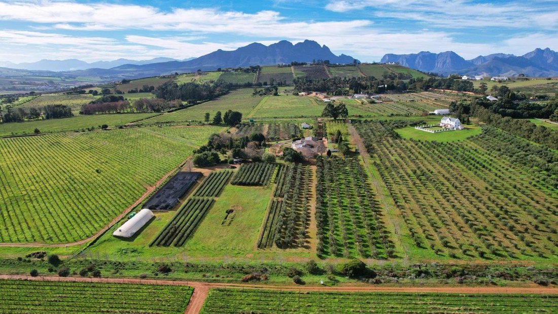 Farm Ranch in Devonvale Golf &amp; Wine Estate, Western Cape, South Africa 4 - 17335154