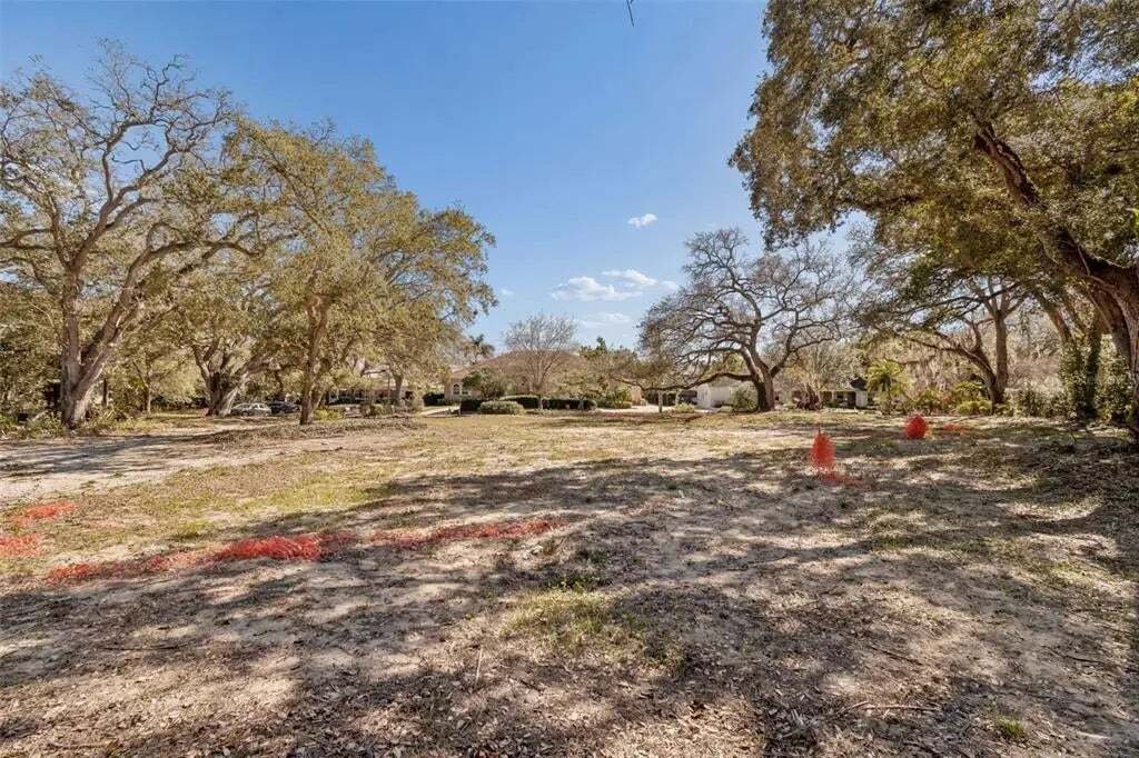 Land in Tampa, Florida, United States 3 - 17336103