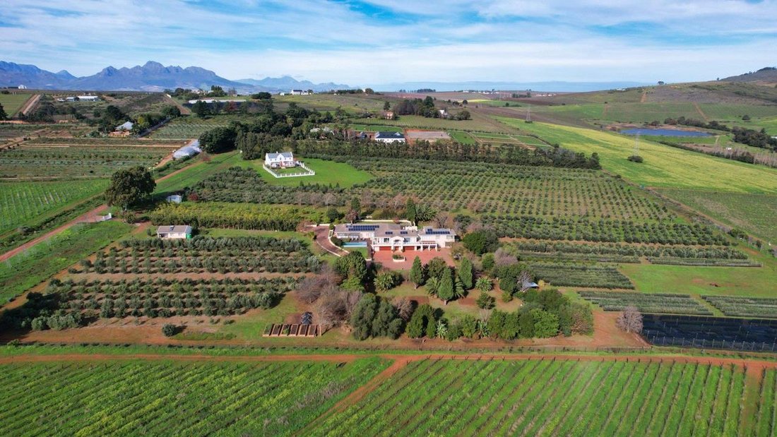 Farm Ranch in Devonvale Golf &amp; Wine Estate, Western Cape, South Africa 3 - 17335154