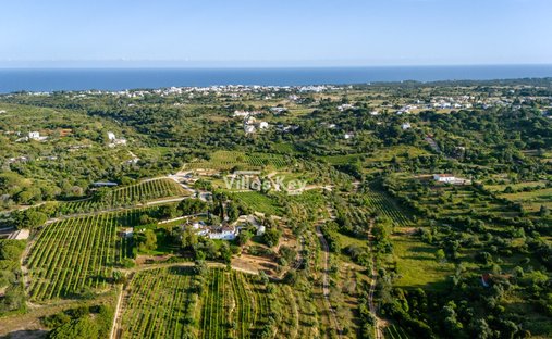 Finca in Faro (Se und Sao Pedro), Algarve, Portugal 1