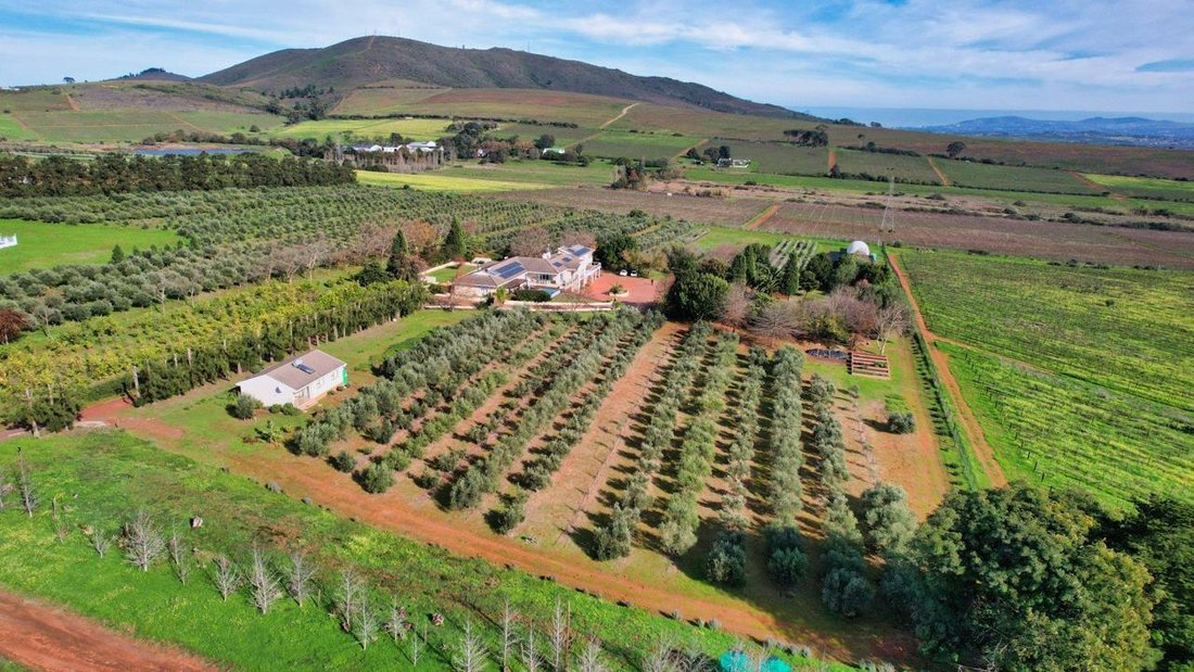 Farm Ranch in Devonvale Golf &amp; Wine Estate, Western Cape, South Africa 2 - 17335154