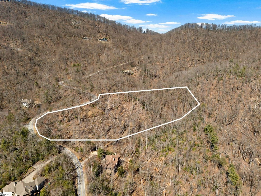 House in Travelers Rest, South Carolina, United States 4 - 17334875