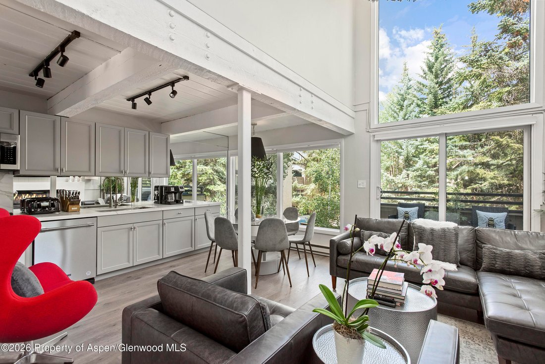 House in Aspen, Colorado, United States 1 - 17335407