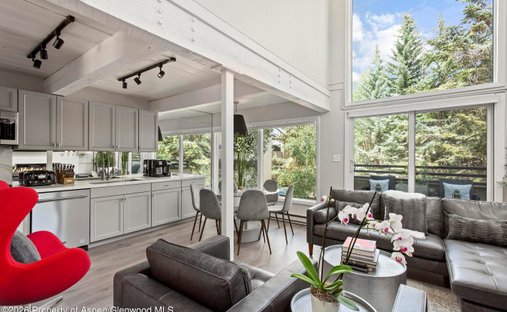 House in Aspen, Colorado, United States 1