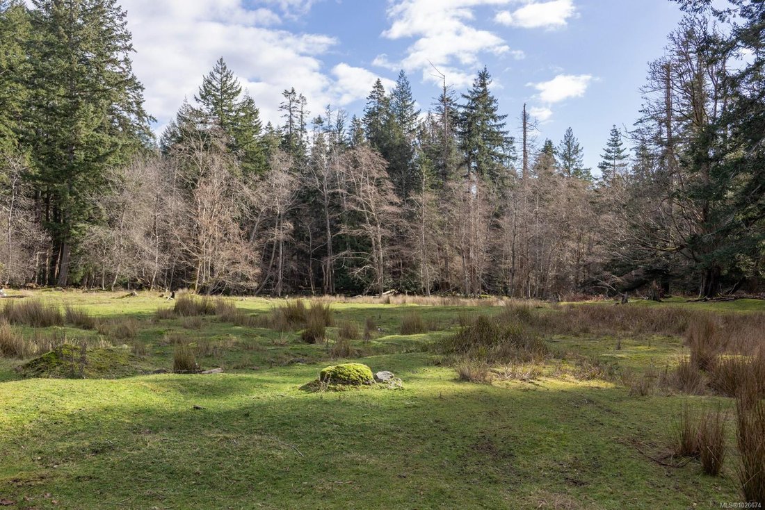 Land in Tofino, British Columbia, Canada 5 - 17335774