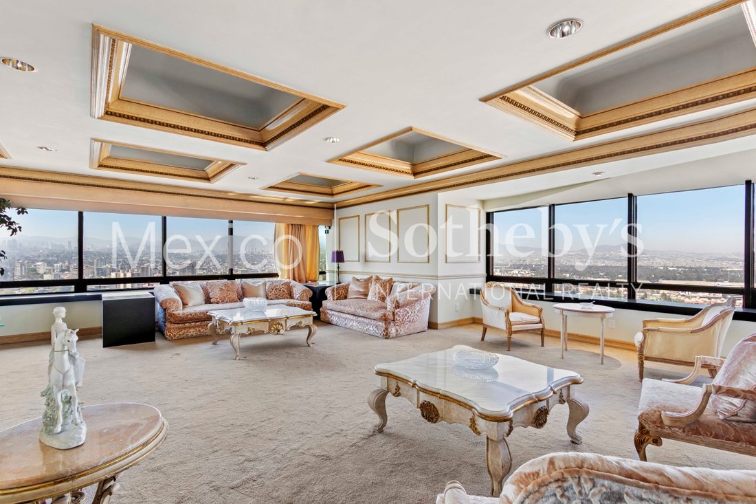Apartment in Mexico City, Mexico 5 - 17336462