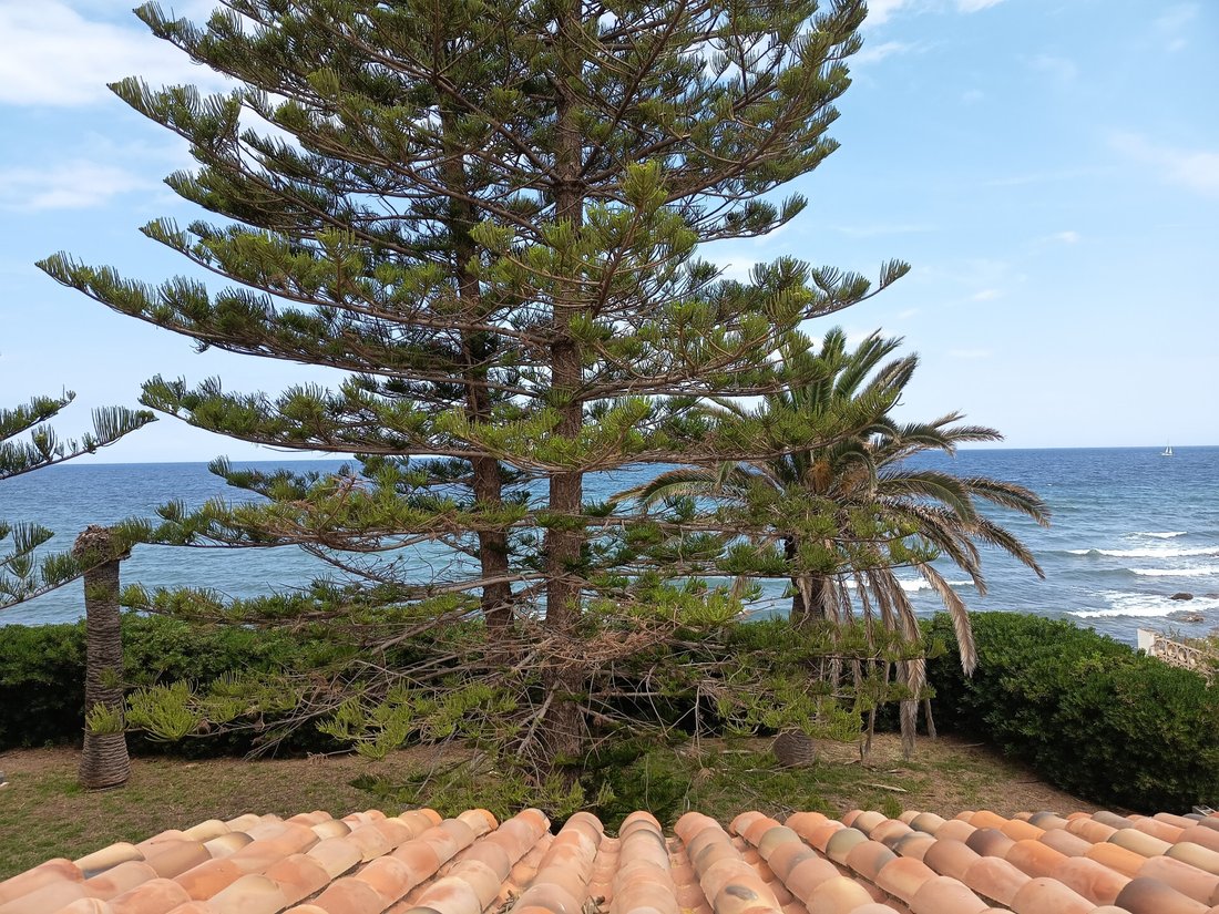 Villa in Denia, Valencian Community, Spain 5 - 17336616