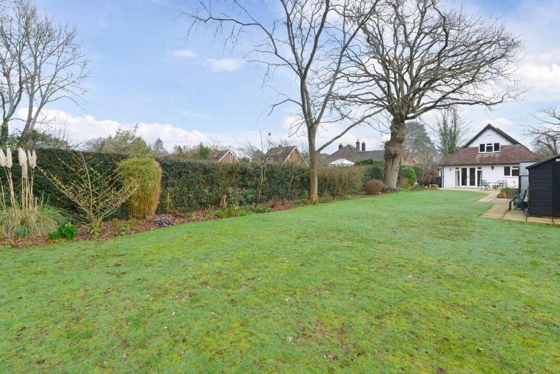 House in Cranleigh, England 4 - 17333641