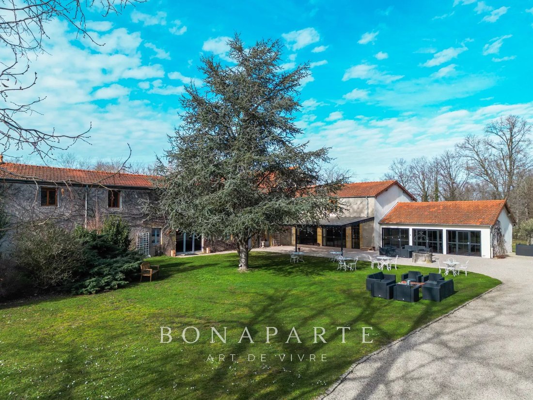 Castle in Le Parc, Roanne, France 4 - 17332423