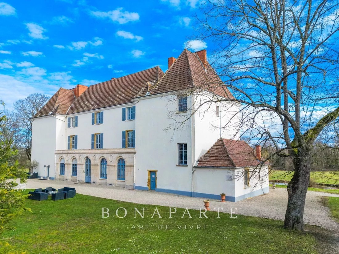 Castle in Le Parc, Roanne, France 3 - 17332423