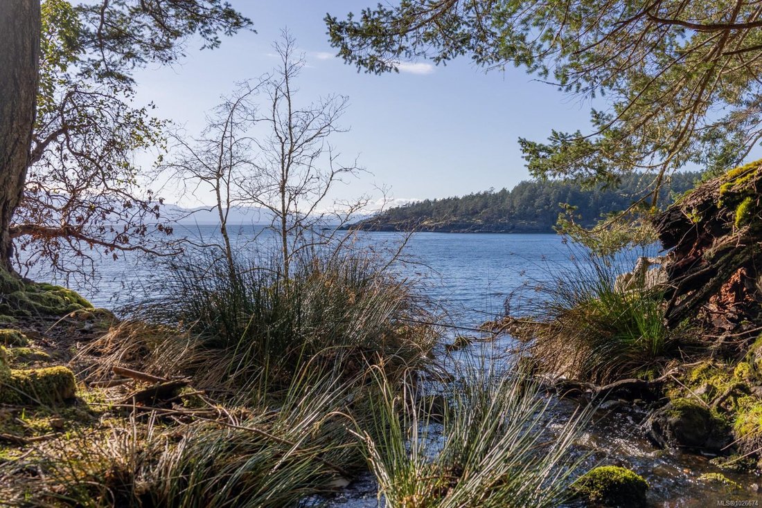 Land in Tofino, British Columbia, Canada 3 - 17335774