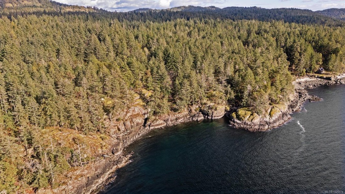 Land in Tofino, British Columbia, Canada 4 - 17335774