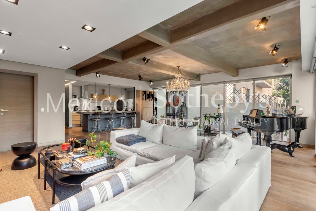 Apartment in Mexico City, Mexico 4 - 17336461