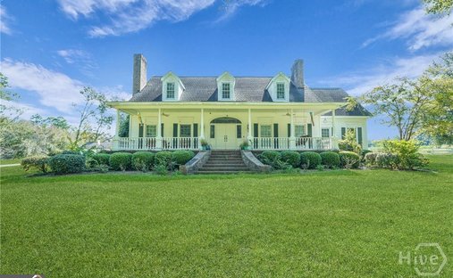 Land in Claxton, Georgia, United States 1