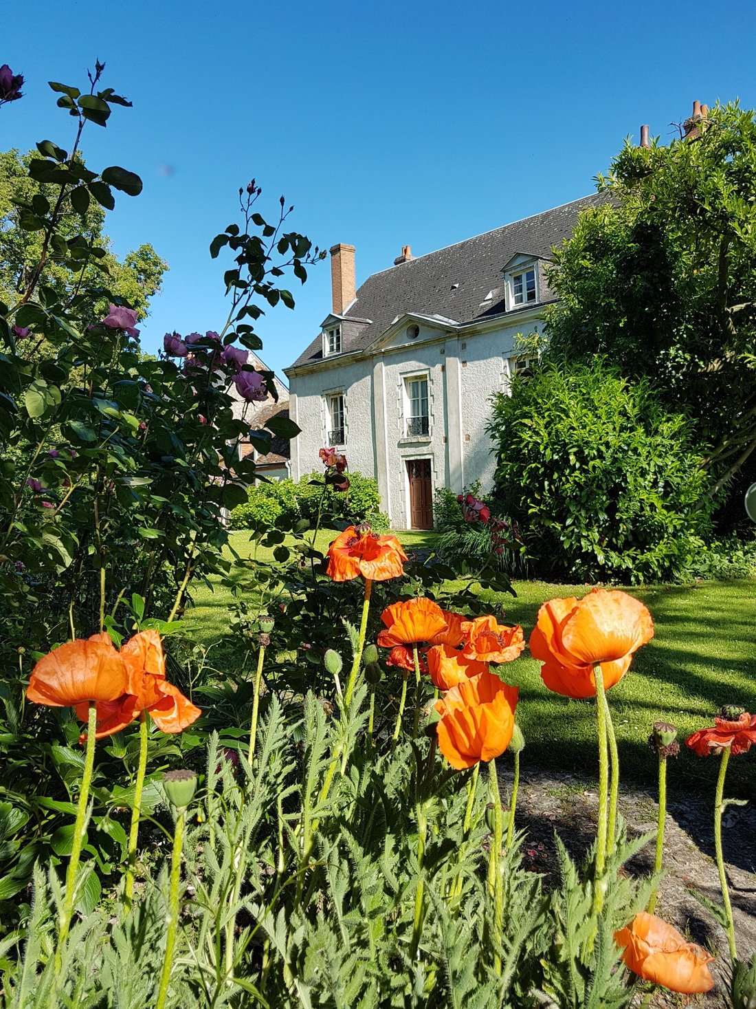 House in Chaingy, Centre-Val de Loire, France 1 - 17335466