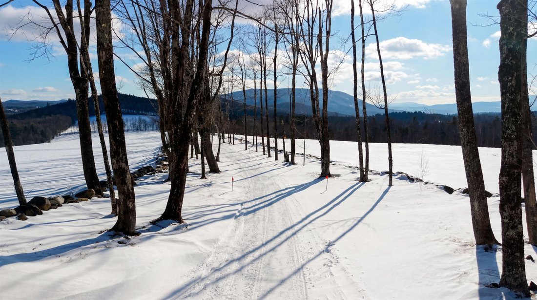 Land in Weston, Vermont, United States 4 - 17007894