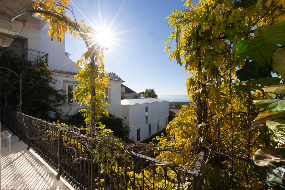 Apartment in Santa Maria Maior, Lisbon, Portugal 5 - 17335525