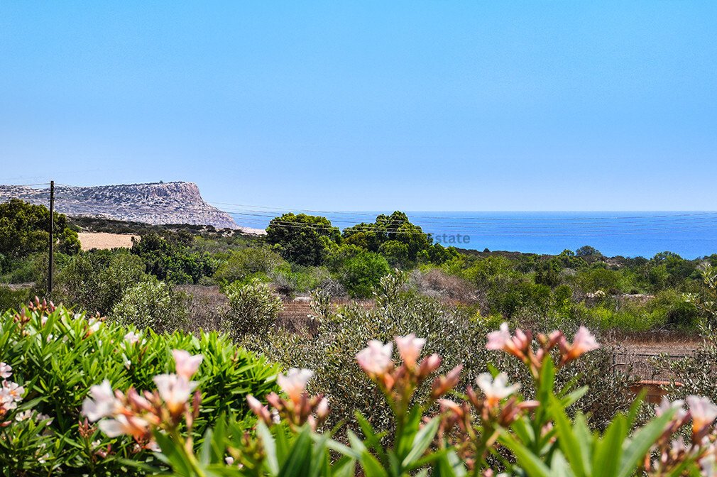 Villa in Ayia Napa, Cyprus 4 - 17332566