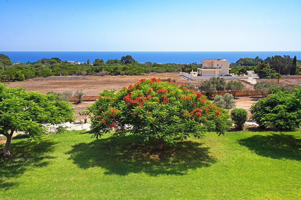 Villa in Ayia Napa, Cyprus 3 - 17332566