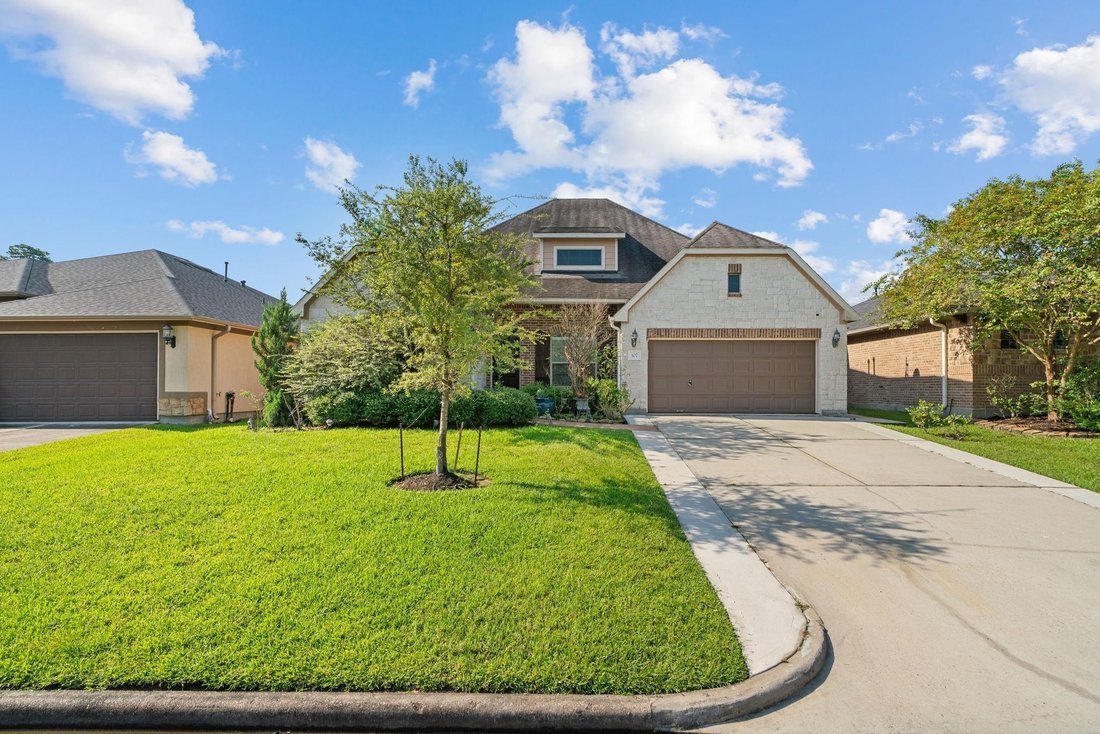 House in The Woodlands, Texas, United States 1 - 17336804
