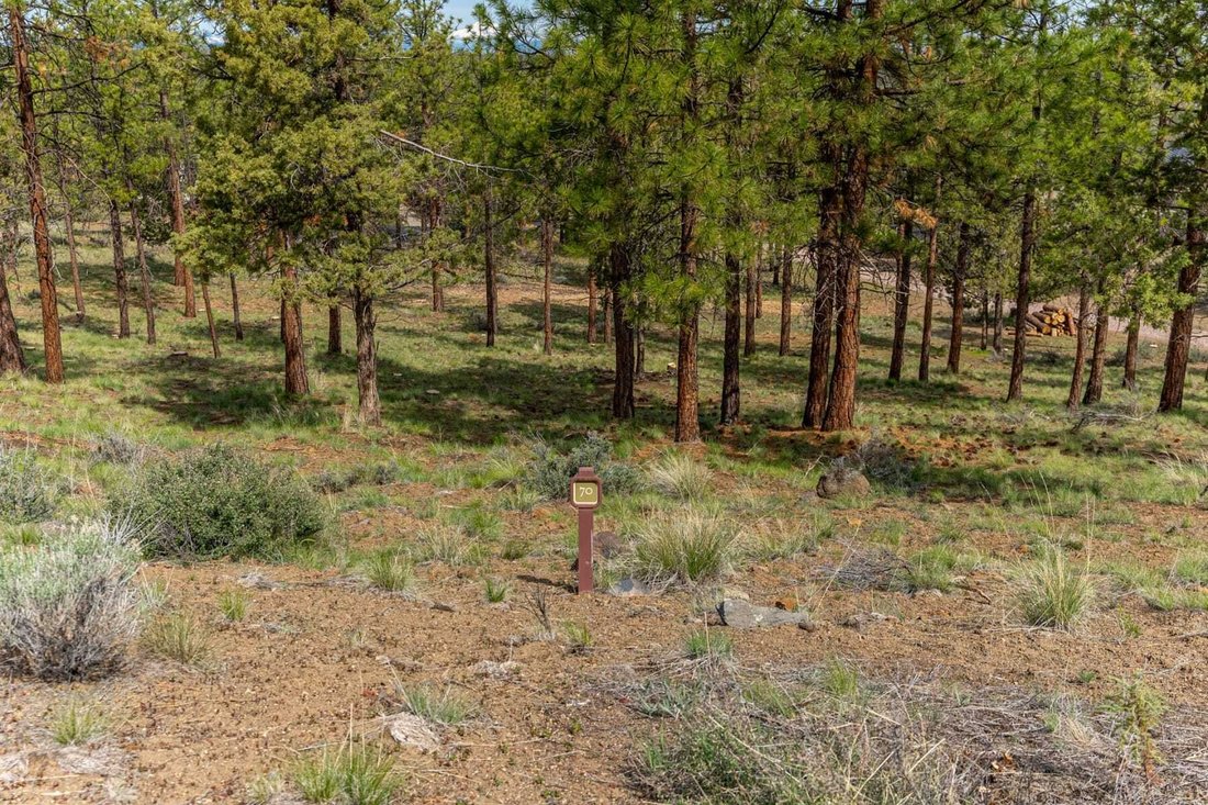 Land in Bend, Oregon, United States 5 - 17337274