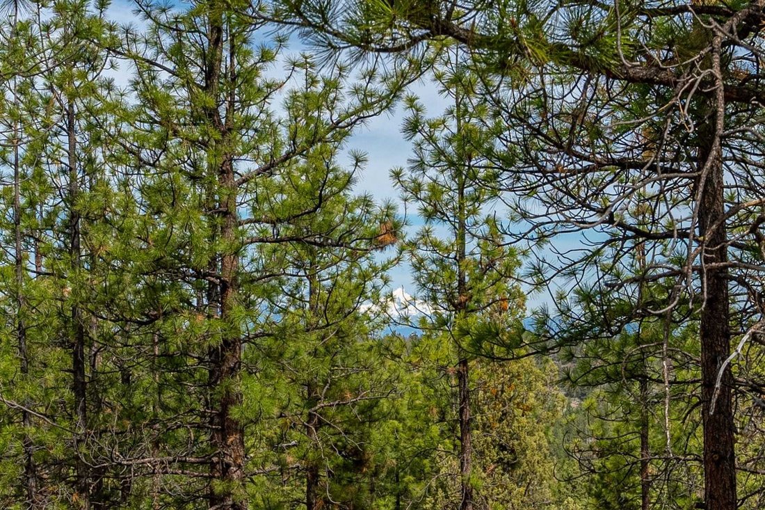 Land in Bend, Oregon, United States 4 - 17337274