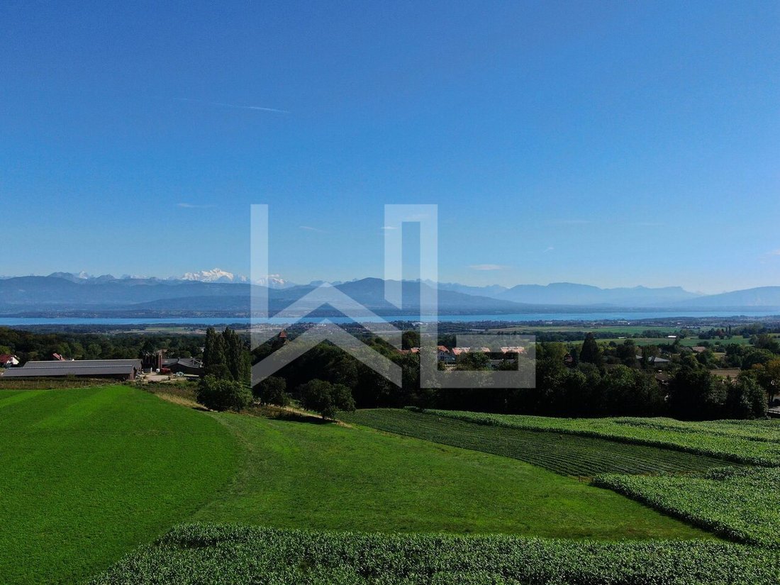 Eine Atemberaubende Aussicht