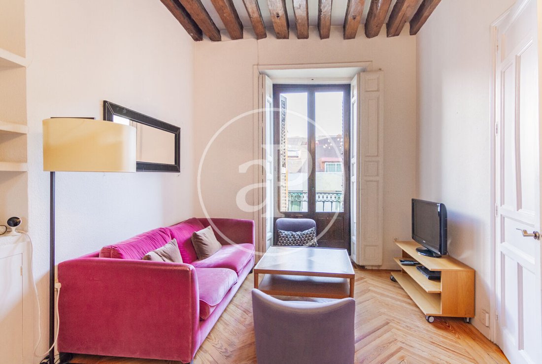 Apartment in Centro, Madrid, Spain 3 - 17291692