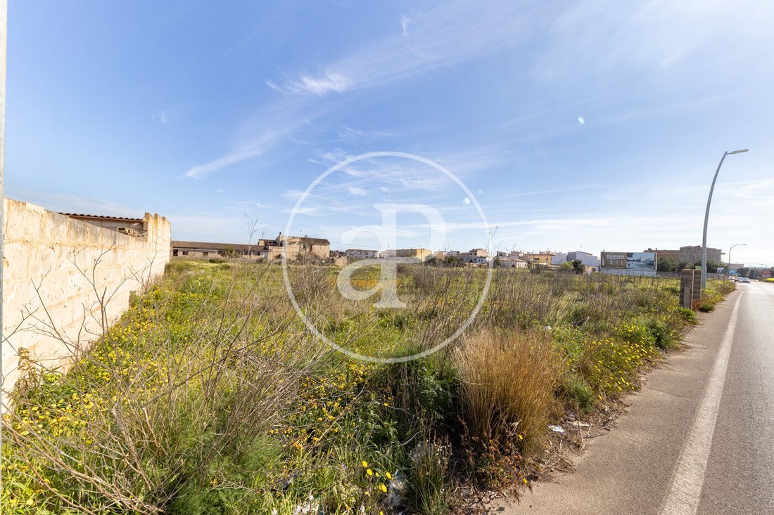 Land in Campos, Balearische Inseln, Spanien 3 - 17337514