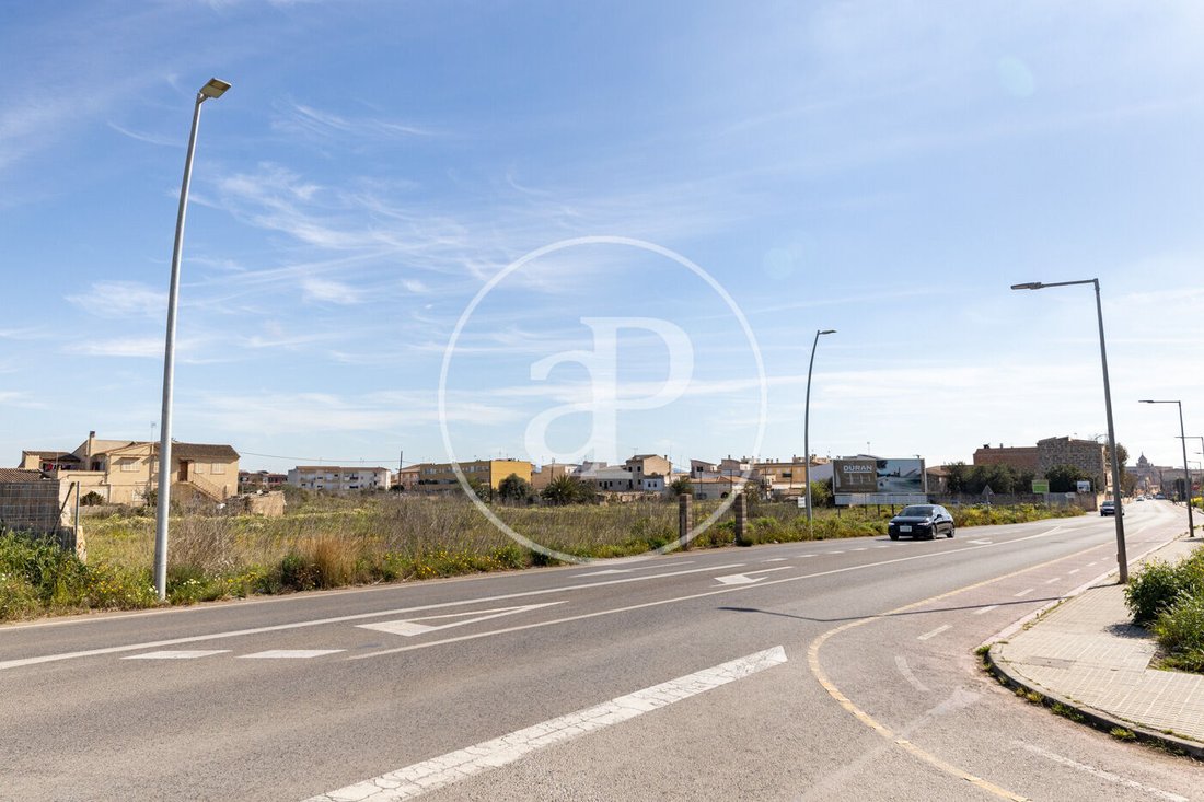 Land in Campos, Balearische Inseln, Spanien 2 - 17337514