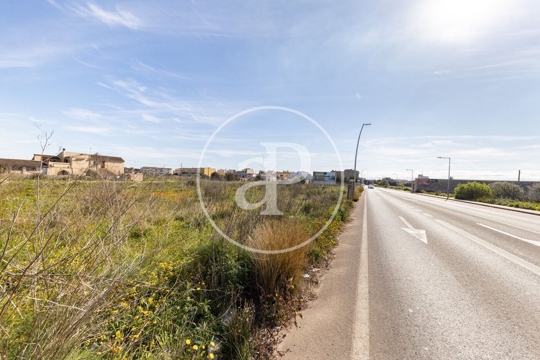 Land in Campos, Balearische Inseln, Spanien 4 - 17337514