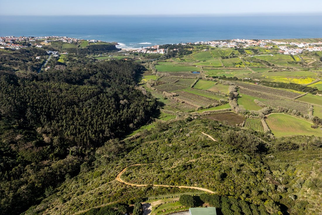 Land in Alcabideche, Lisbon, Portugal 1 - 17338267