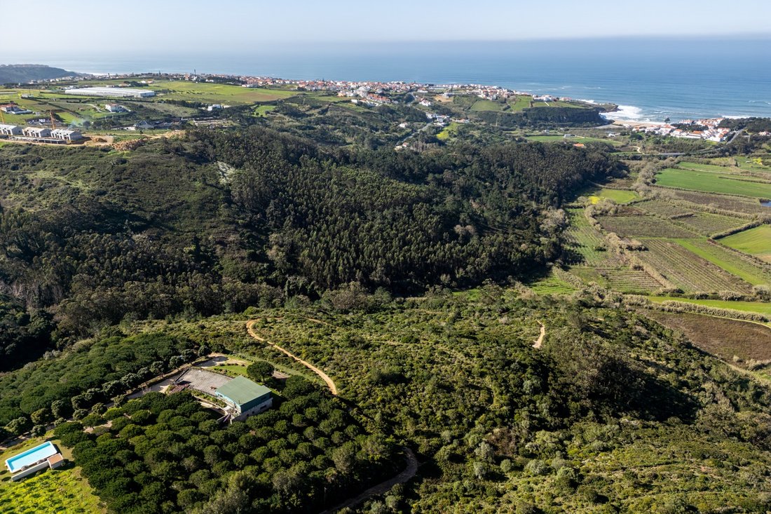 Land in Alcabideche, Lisbon, Portugal 3 - 17338267