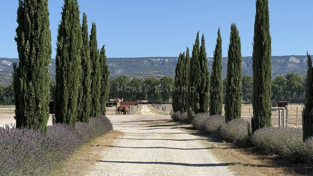 House in Mallemort, Provence-Alpes-Côte d'Azur, France 1 - 17338827