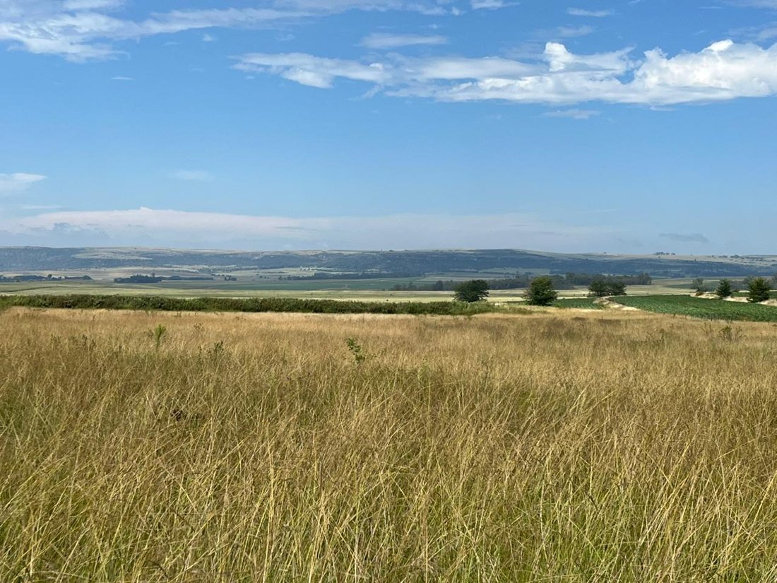 Farm Ranch in Hobhouse, Free State, South Africa 5 - 17340145