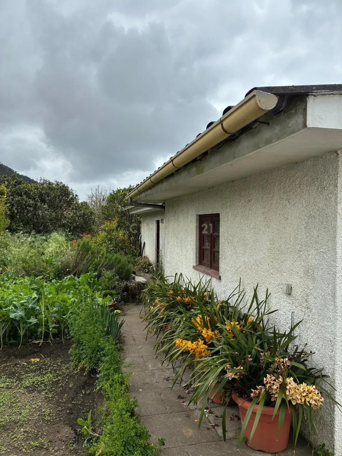 Villa in Areosa, Viana do Castelo District, Portugal 4 - 17339646