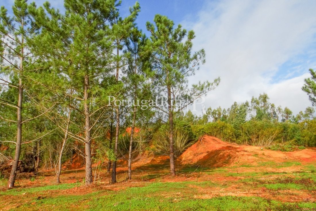 Land in Sao Martinho do Bispo e Ribeira de Frades, Coimbra District, Portugal 3 - 14288467