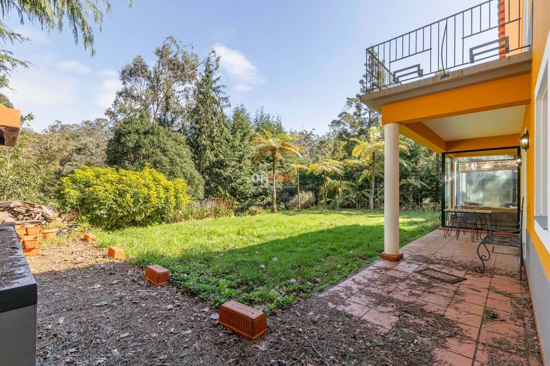 Villa in Santo Antonio da Serra, Madeira, Portugal 5 - 17340291