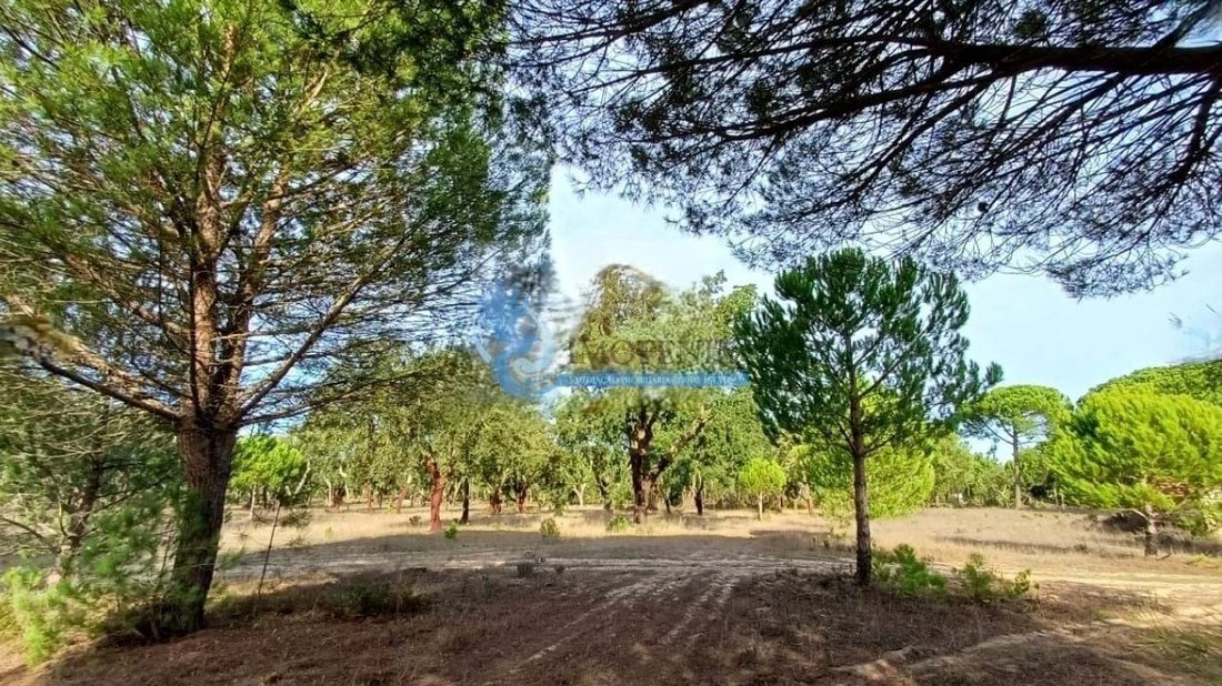 Farm Ranch in Grandola e Santa Margarida da Serra, Setubal, Portugal 3 - 15218484