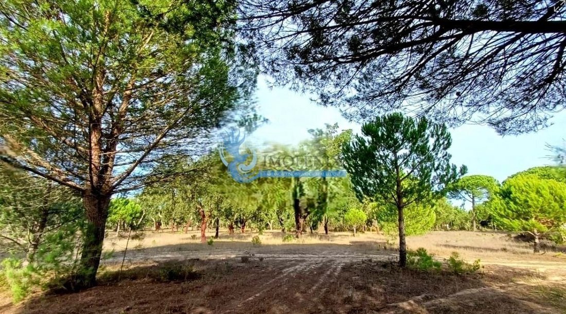 Farm Ranch in Grandola e Santa Margarida da Serra, Setubal, Portugal 5 - 15218484