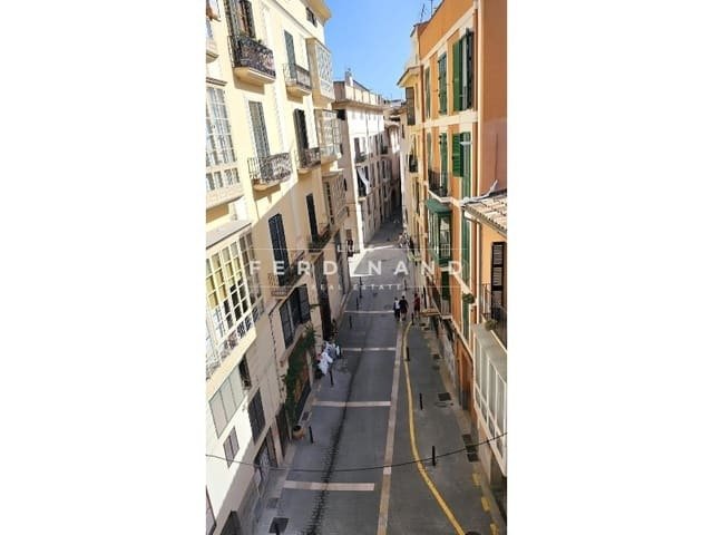 Apartment in Palma, Balearic Islands, Spain 5 - 17344161