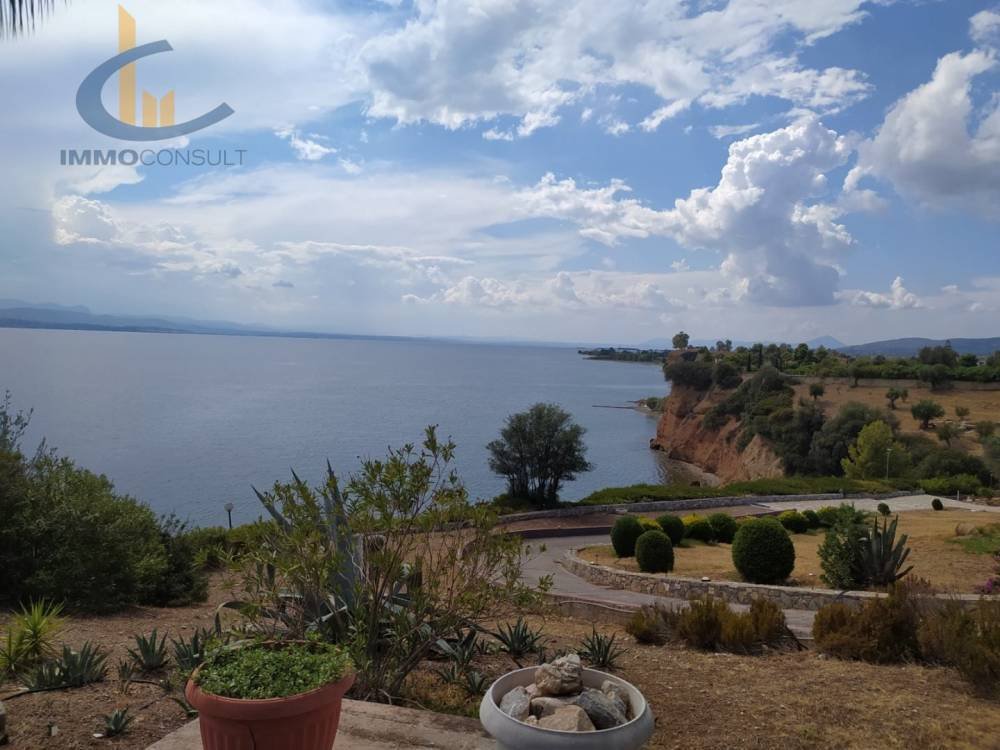 Villa in Amarynthos, Thessaly and Central Greece, Greece 5 - 17339678