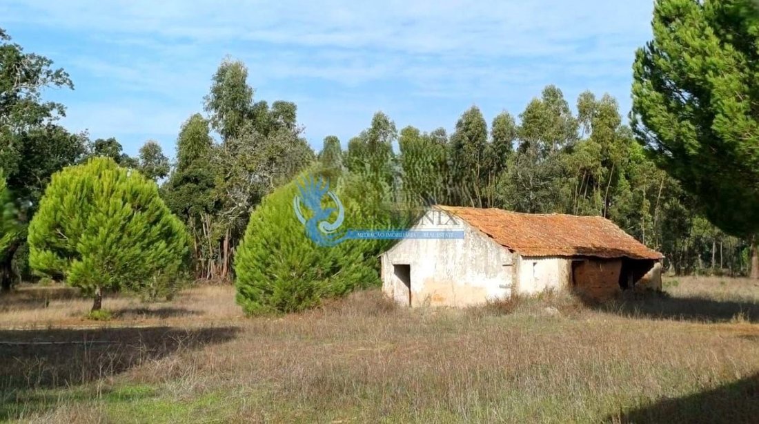 Farm Ranch in Grandola e Santa Margarida da Serra, Setubal, Portugal 4 - 15218484