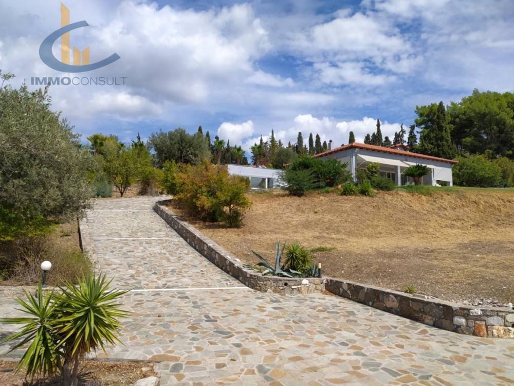 Villa in Amarynthos, Thessaly and Central Greece, Greece 3 - 17339678