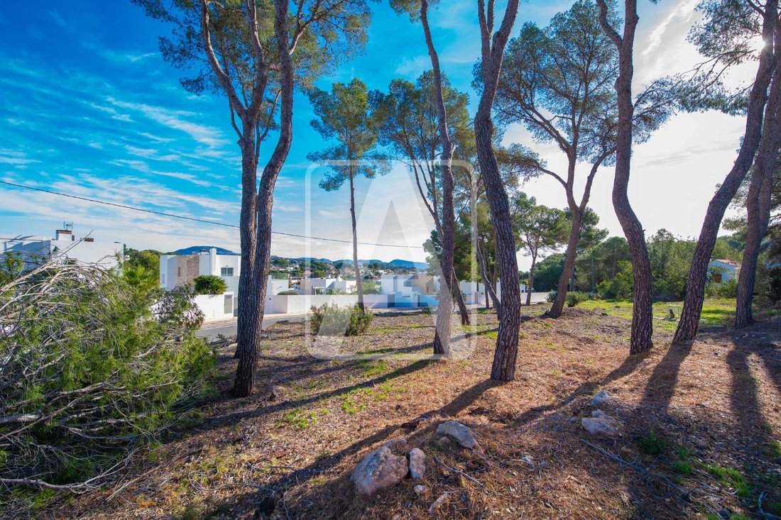 Villa in Benissa, Valencian Community, Spain 3 - 17345303