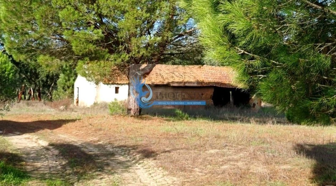 Farm Ranch in Grandola e Santa Margarida da Serra, Setubal, Portugal 2 - 15218484