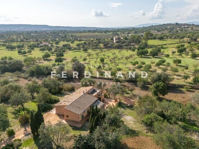 Finca in Santa Maria del Cami, Balearic Islands, Spain 2 - 17344172