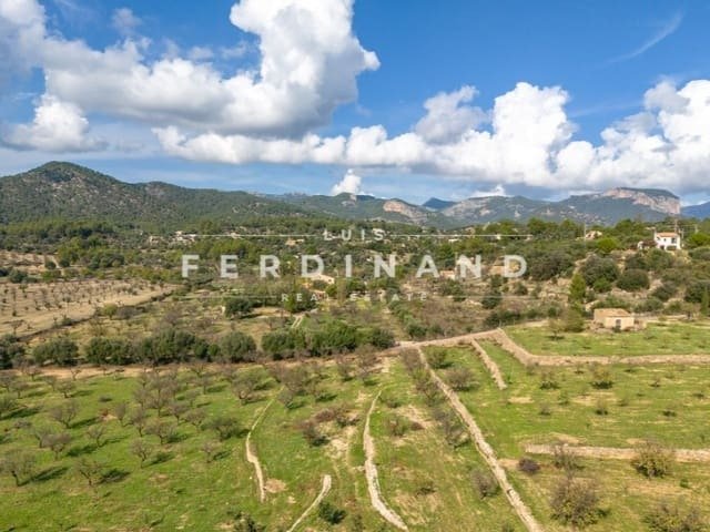 Finca in Santa Maria del Cami, Balearic Islands, Spain 4 - 17344172