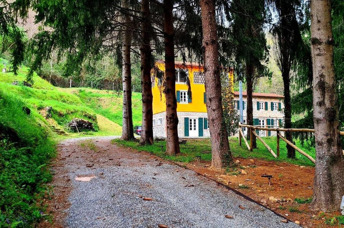 Farm Ranch in Center, Capannori, Tuscany 4 - 17342381