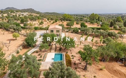 Finca in Santa Maria del Cami, Balearic Islands, Spain 1